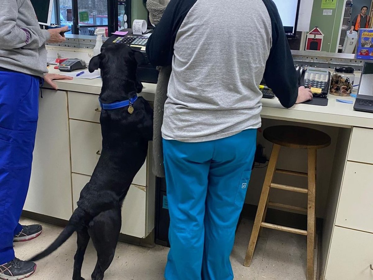 Check out our conversation with Jenny Warren and Patti Tole of the Lee County Humane Society on this week’s episode of the Lee County Listener! And help out—volunteer, foster, adopt, and donate! Listen here:

open.spotify.com/episode/04pYwE…

#auburn #auburnal #opelika #opelikaal