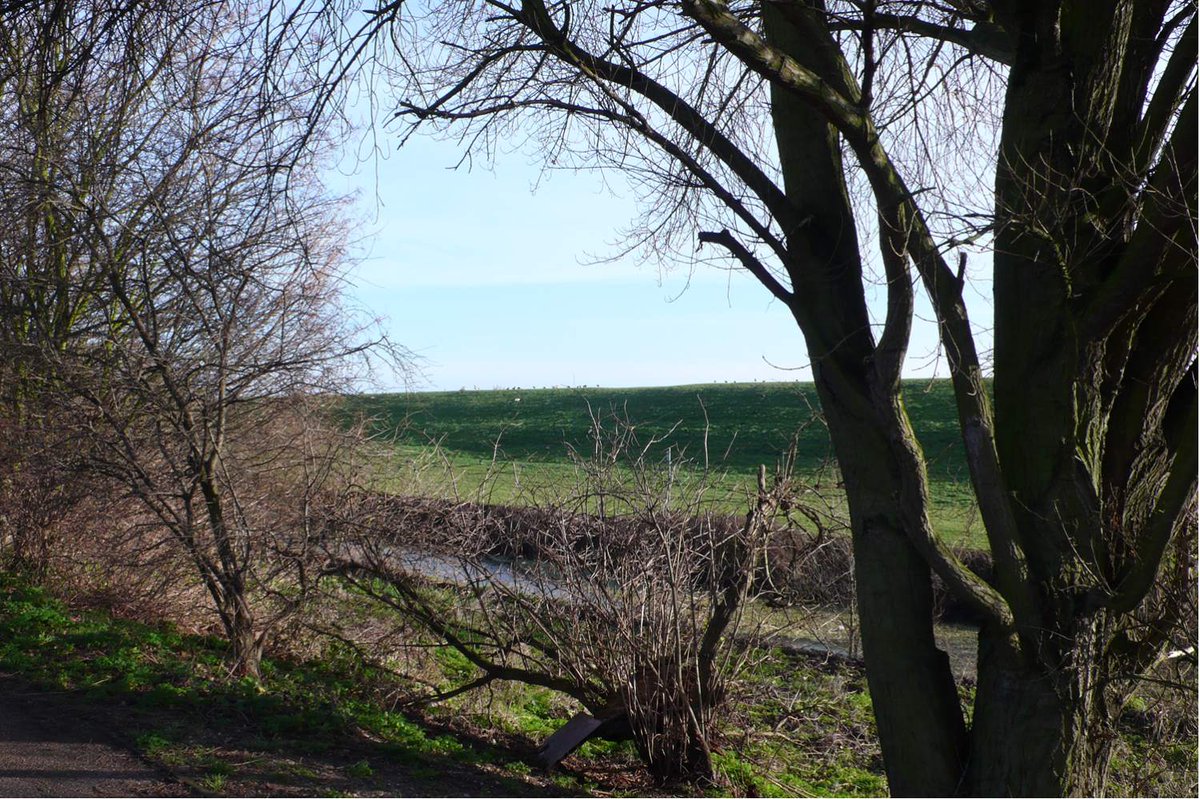 David Boote tweet media