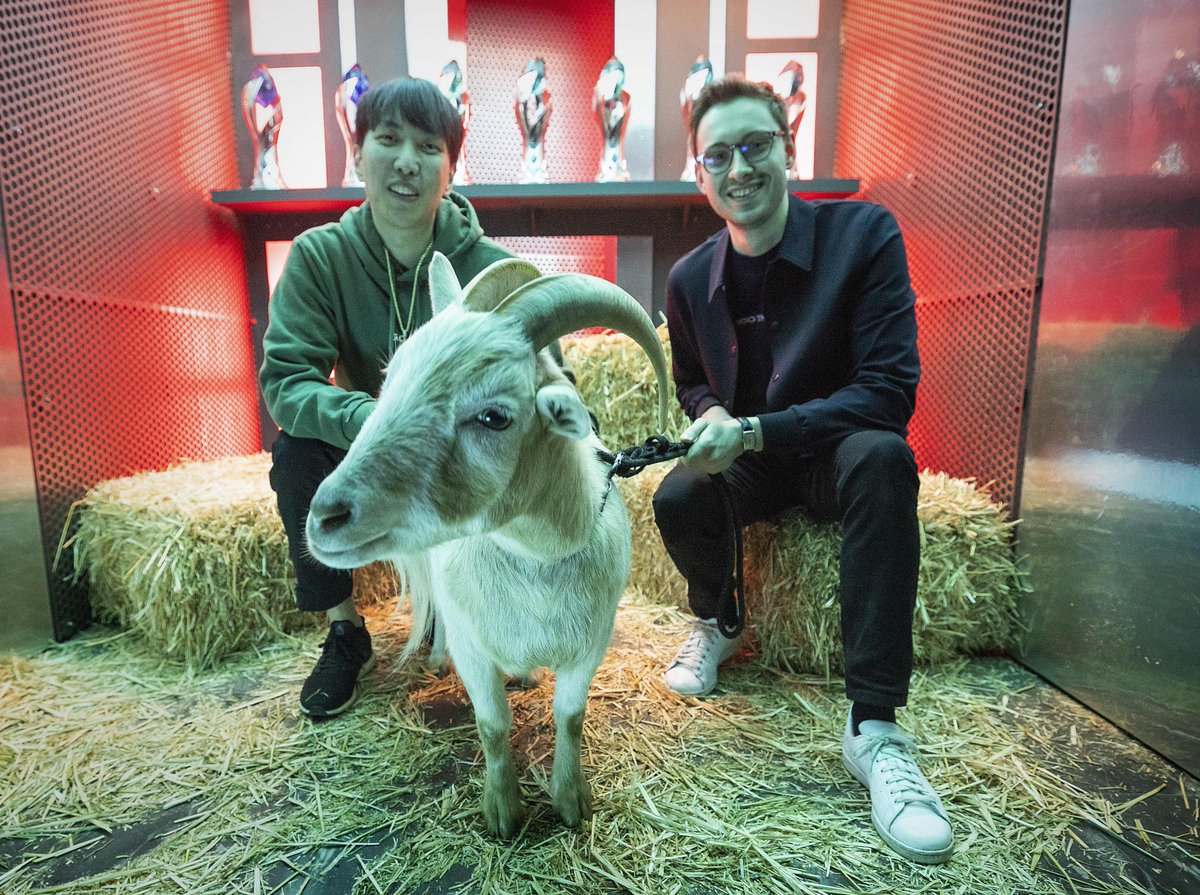 His name is Pippin 😤