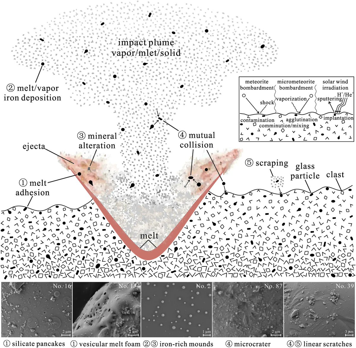 jgrplanets's tweet photo. Intricate Regolith Reworking Processes Revealed by Microstructures on Lunar Impact Glasses https://t.co/rzxx9G2ePN the abundant protruded and dented microstructures on the glass particles suggest that low-speed events reworked local materials in vapor, melt, and solid phase. https://t.co/XMfPDKOLv1