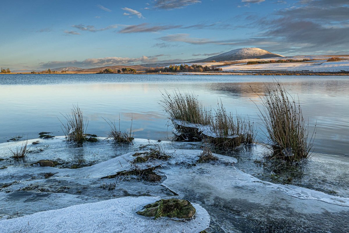 Brrr, it was a wee bit chilly at Harperrigg Reservoir to the west of Edinburgh. The last sun of the day lights up East Cairn Hill in the distance.

#edinburgh #scotland #harperriggreservoir #cairnhill #sunset #photography #capturewithconfidence

@kasefiltersuk @SlikTripods