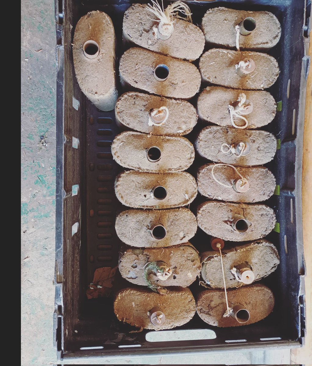 TheFrontlineCo's tweet photo. Packing ready for Stoneleigh Militaria Fair on the 29th January! Loads of #militaria for sale at an amazing show! Buy now and collect at the show... https://t.co/Pw2OIdmu8F 
#wwii #ww2 #worldwartwo #secondworldwar #Military #antique https://t.co/TsdXJMDcuO