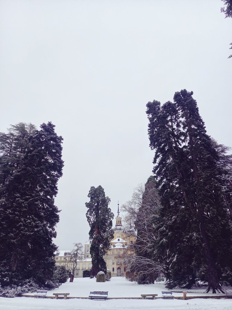EstherZecco's tweet photo. ❄️❄️❄️ https://t.co/lTaePbmVCR