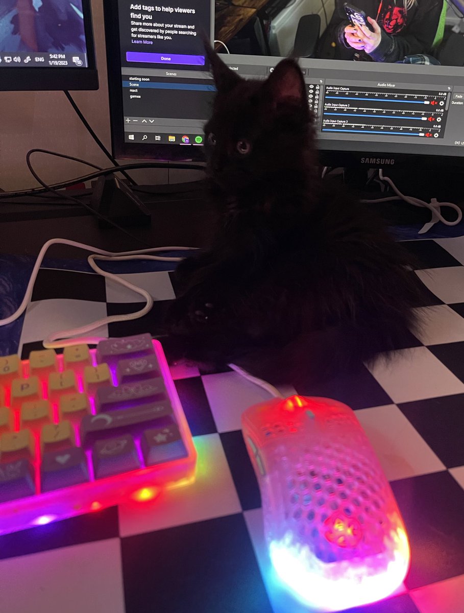 neimki's tweet photo. Gaming buddy https://t.co/7WqHZBhIQR