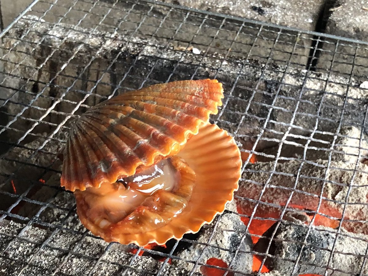 massara_nati's tweet photo. #カキ焼き のあとは #車エビ と #ヒオギ貝
アルミホイルに包まれたエビはまだ生きてるから熱々の網に置いたらビクっと!
『#オレ達のカキ焼家』
#カキ焼き街道
#カキ焼店 #カキ焼き店 #カキ焼き #牡蠣 #カキ
#佐賀県太良町 #太良町 #taratown
#佐賀観光 #佐賀グルメ #太良町グルメ #太良町観光 https://t.co/d1Eh8QvNqP
