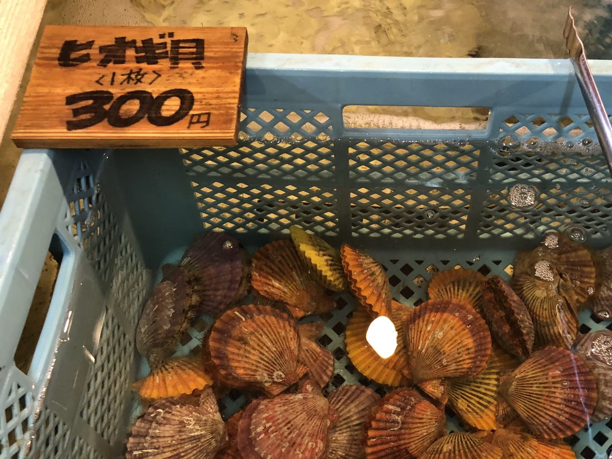 massara_nati's tweet photo. #カキ焼き のあとは #車エビ と #ヒオギ貝
アルミホイルに包まれたエビはまだ生きてるから熱々の網に置いたらビクっと!
『#オレ達のカキ焼家』
#カキ焼き街道
#カキ焼店 #カキ焼き店 #カキ焼き #牡蠣 #カキ
#佐賀県太良町 #太良町 #taratown
#佐賀観光 #佐賀グルメ #太良町グルメ #太良町観光 https://t.co/d1Eh8QvNqP