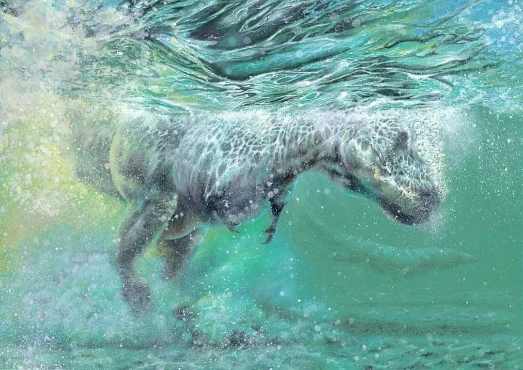 sharkbitesteve's tweet photo. I love doing water stuff. Just saying. https://t.co/YZVLLlaVea
