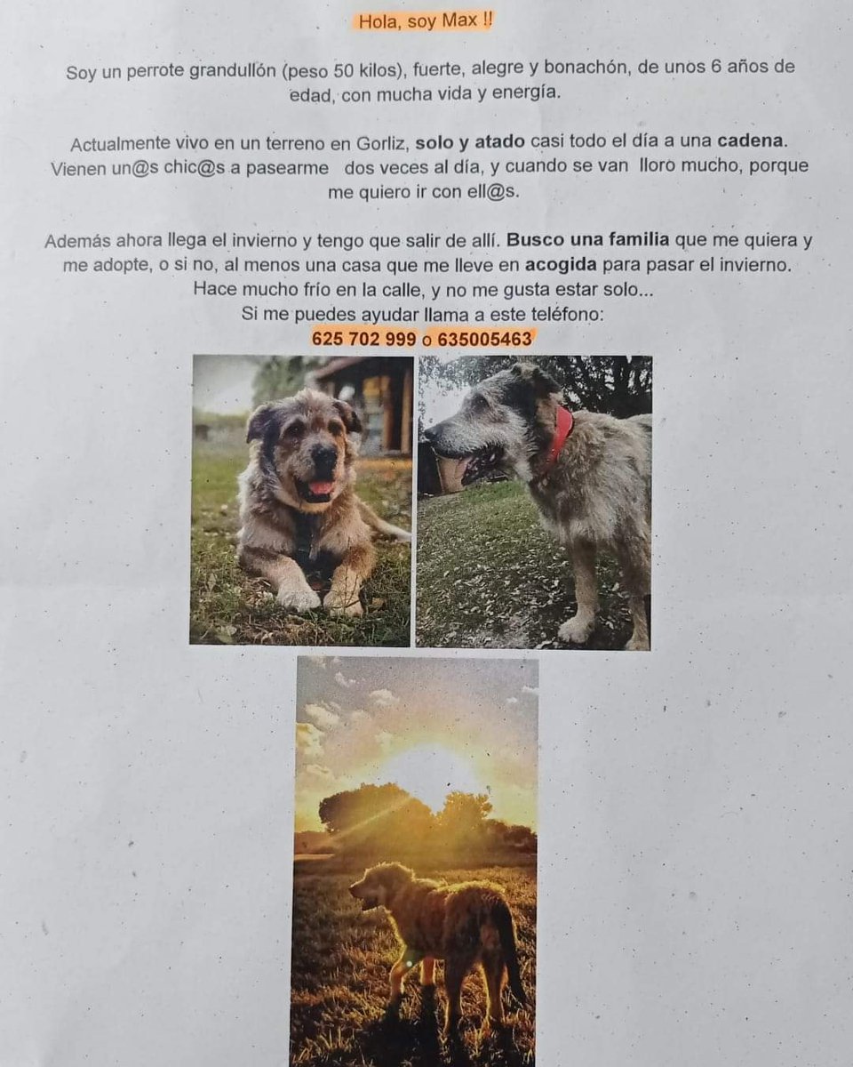 🔴🔴CASO EXTERNO🔴🔴

☎️CONTACTO: 625 702 999 ó 635 005 463