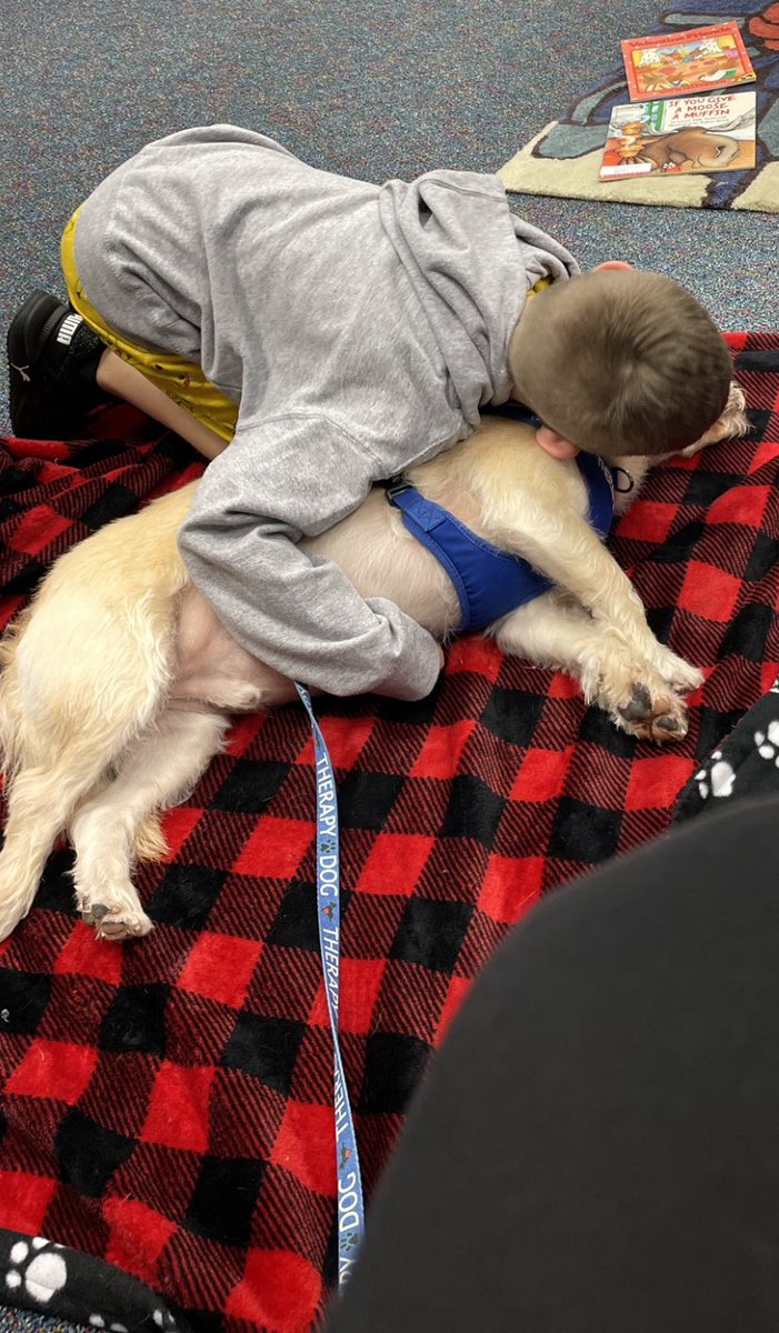 Angel Paws CFBC tweet media