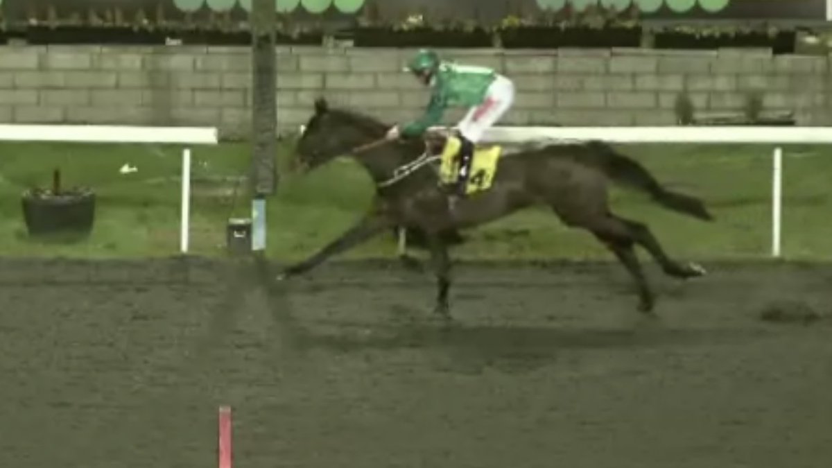 shugiehughie's tweet photo. 3yo Winner #Kempton #OnDebut French Invasion by Le Harve x Jumooh ( Monsun ) #CharlieJohnston #JackMitchell . This was the dams 6th individual winner . None though have won 2 races on the bounce so bear that in mind impressive though this was https://t.co/SdpX9WNwEa