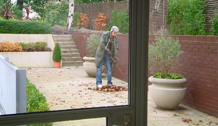 Dobby Club tweet media