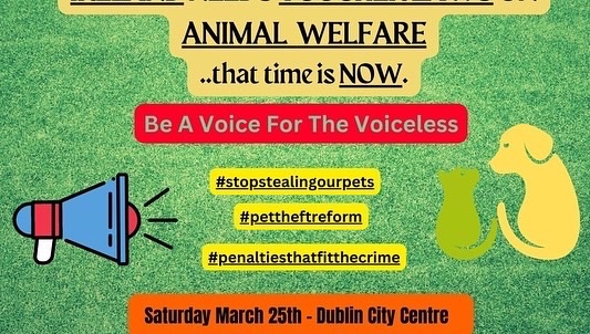 Read Baja’s Story Below - The Truth of What happened, how she found her way back to her Family🧡
#stolen #galway #ireland #reunited23 #dspca #microchip #pettheftexposed #pettheftawareness #pettheftspecificrime #stopstealingourpets #EnforceTheLaw #ministerforjusticeireland #dogs