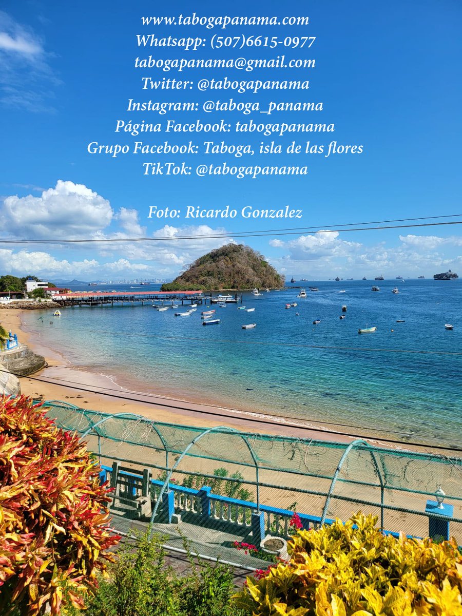 Taboga Panamá 🇵🇦 tweet media