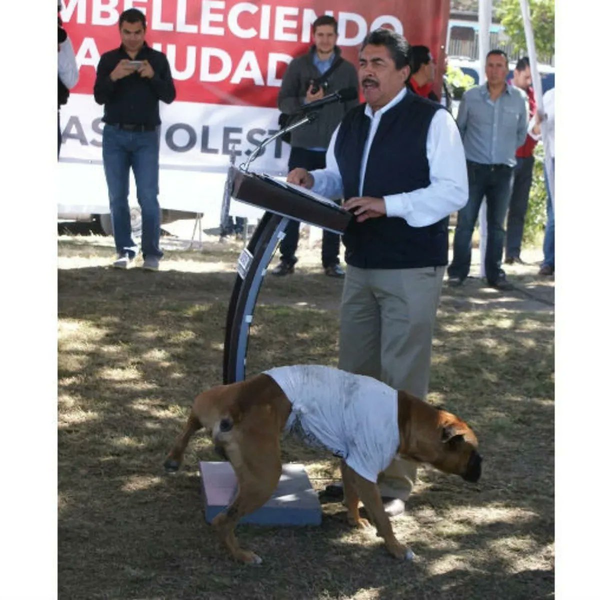 10 momentos que nos mantienen humildes como tapatíos: 1.- Cuando un perro orinó al presidente municipal Ramiro Hernández (2015).