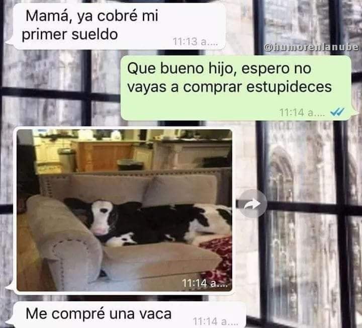 Rachelis26's tweet photo. Ya quiero comprarme a Esmeralda 🐄🐮🥛 https://t.co/zvF7d1dbEY