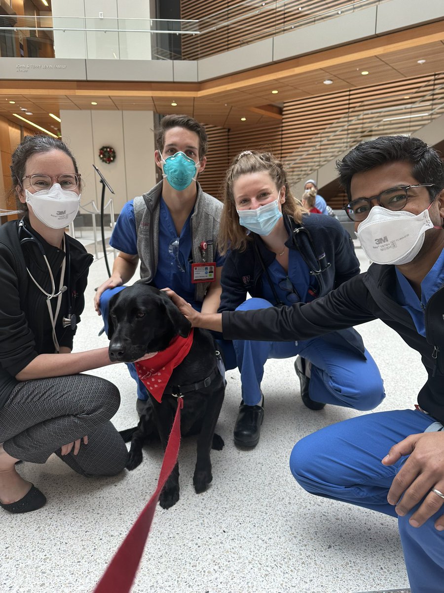 Andrea Jonas tweet media