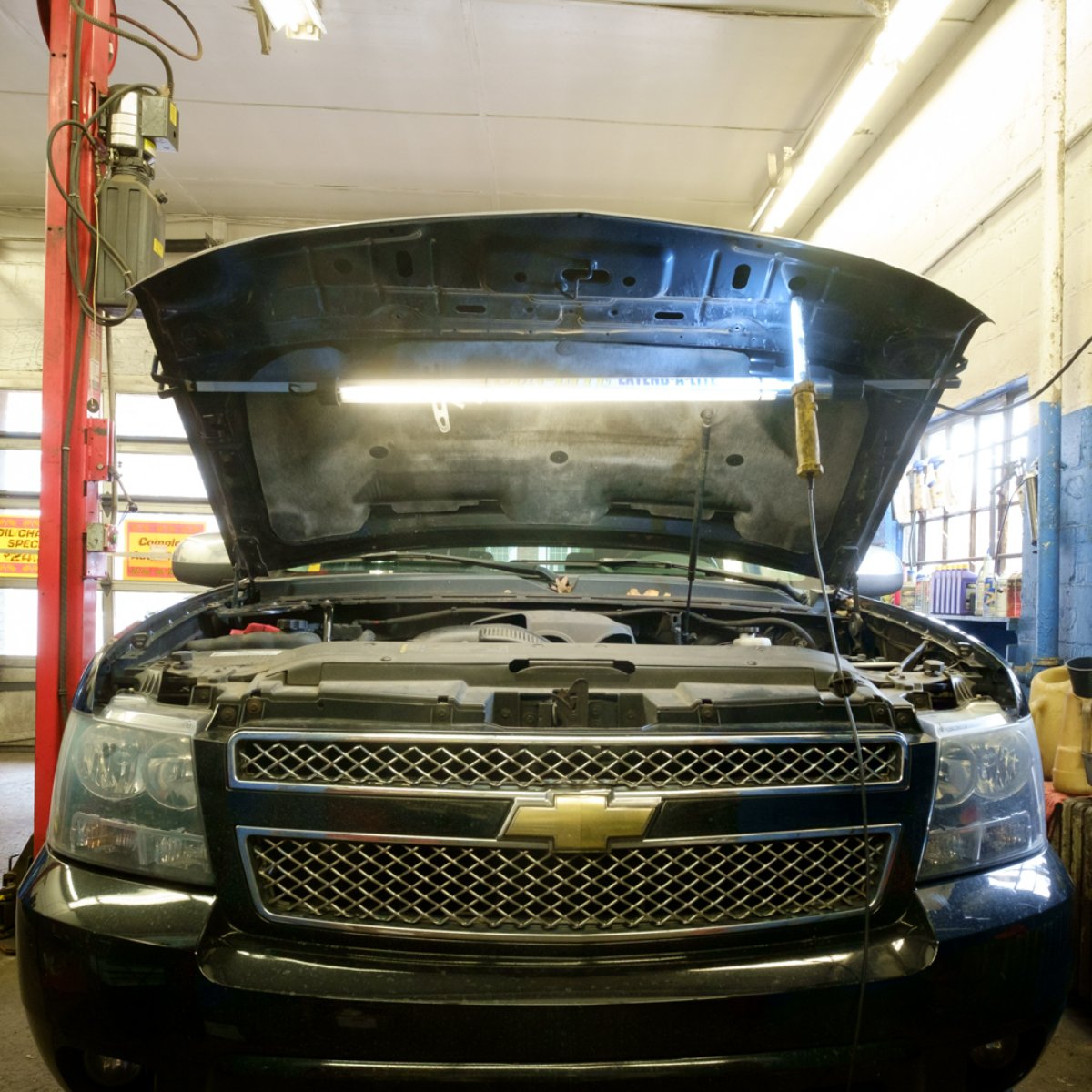 Brownie's Auto tweet media