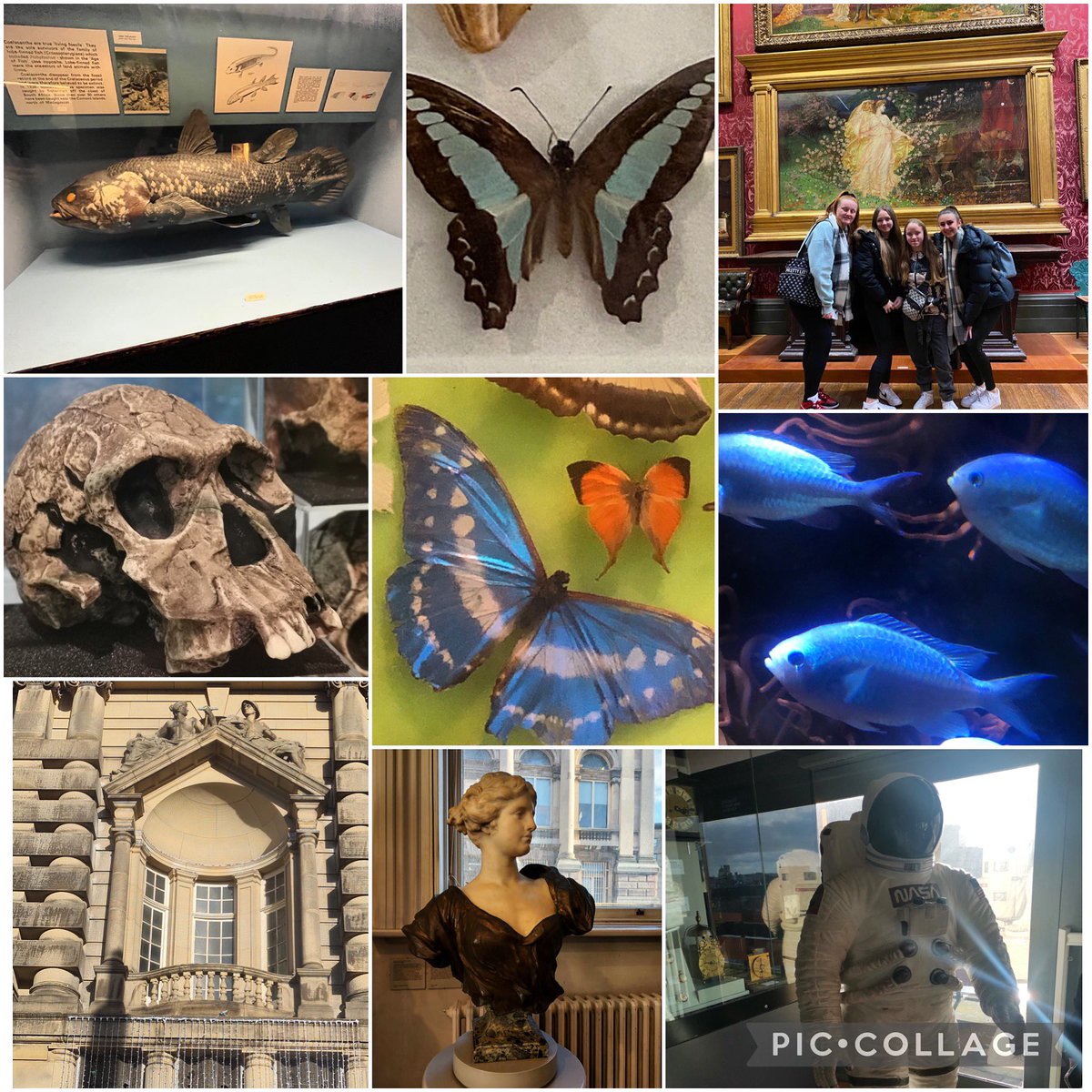 Misswalmsleyart's tweet photo. Great Art trip to @walkergallery and World museum in Liverpool today Year 10 and 11 got some fantastic primary research. Plus got to bump into an old colleague 😄@AltyCollege @BedfordHighSch @BedfordArts @JanetMadden13 https://t.co/8MX0xqIhP4