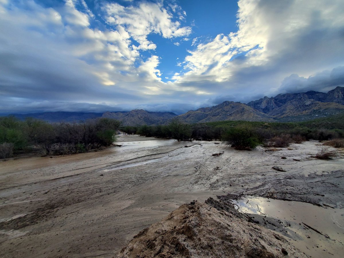 meganspectortv's tweet photo. Update from Catalina State Park: The water levels have gone down, but there is still flowing water in the wash. 

I’ll be live at noon with the latest on the stranded campers. @KVOA 

Check out the progress! https://t.co/pgU9r2q3Qg