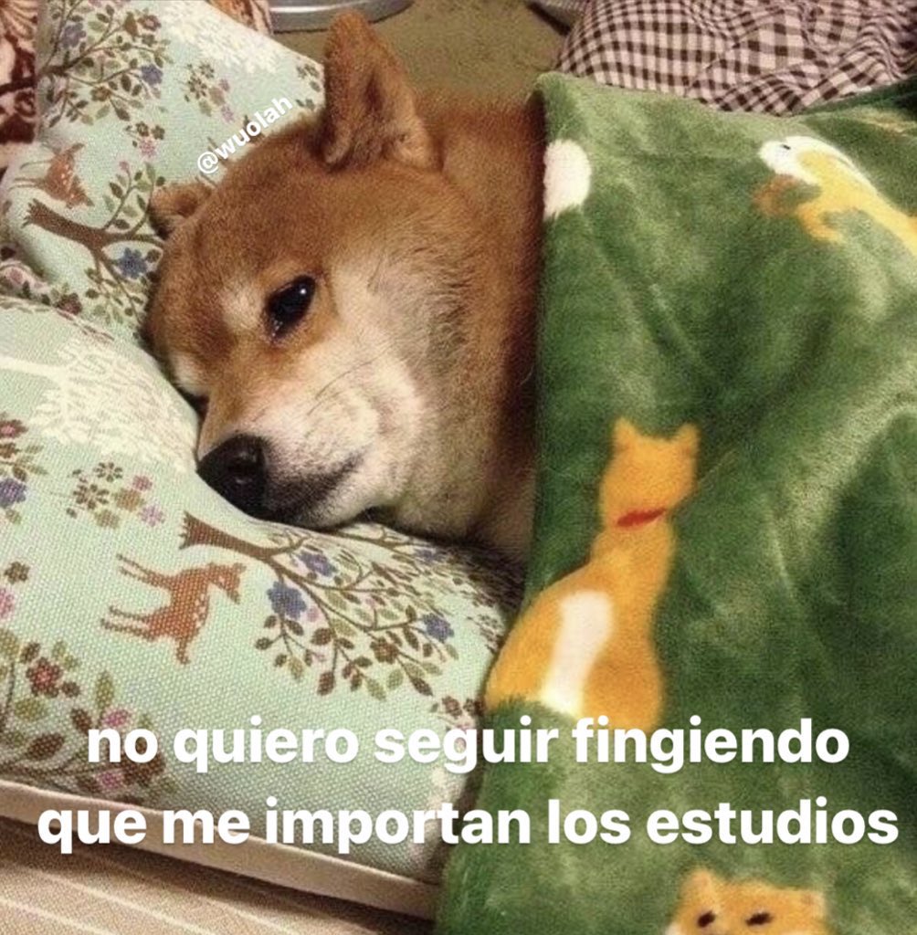 no me llamo vicenta (@kansaita_) on Twitter photo 