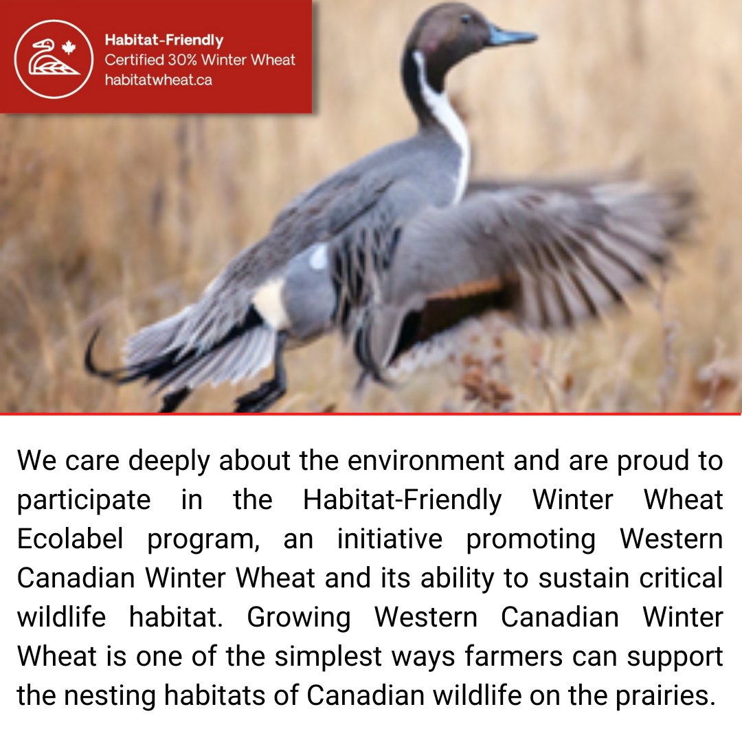 When you see the Habitate-Friendly Winter Wheat ecolabel on our products you can be assured that our pancake and waffle mixes are made with flour containing at least 30% Habitat-Friendly Winter Wheat.

#pancakes #waffles #wildlifehabitat #habitatfriendly #wholegrains