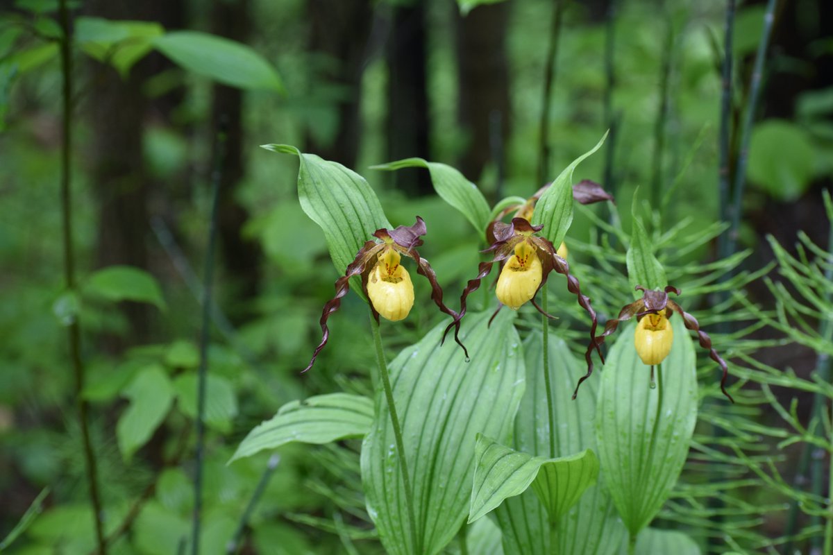 Writing a blog post shouldn't be scarier than being interviewed or hosting a podcast, but it makes me so nervous. 

But they say do one thing a day that scares you... So here's my new post about what I learned over the last 45 episodes of my podcast! 

meredithmeeker.ca/blog