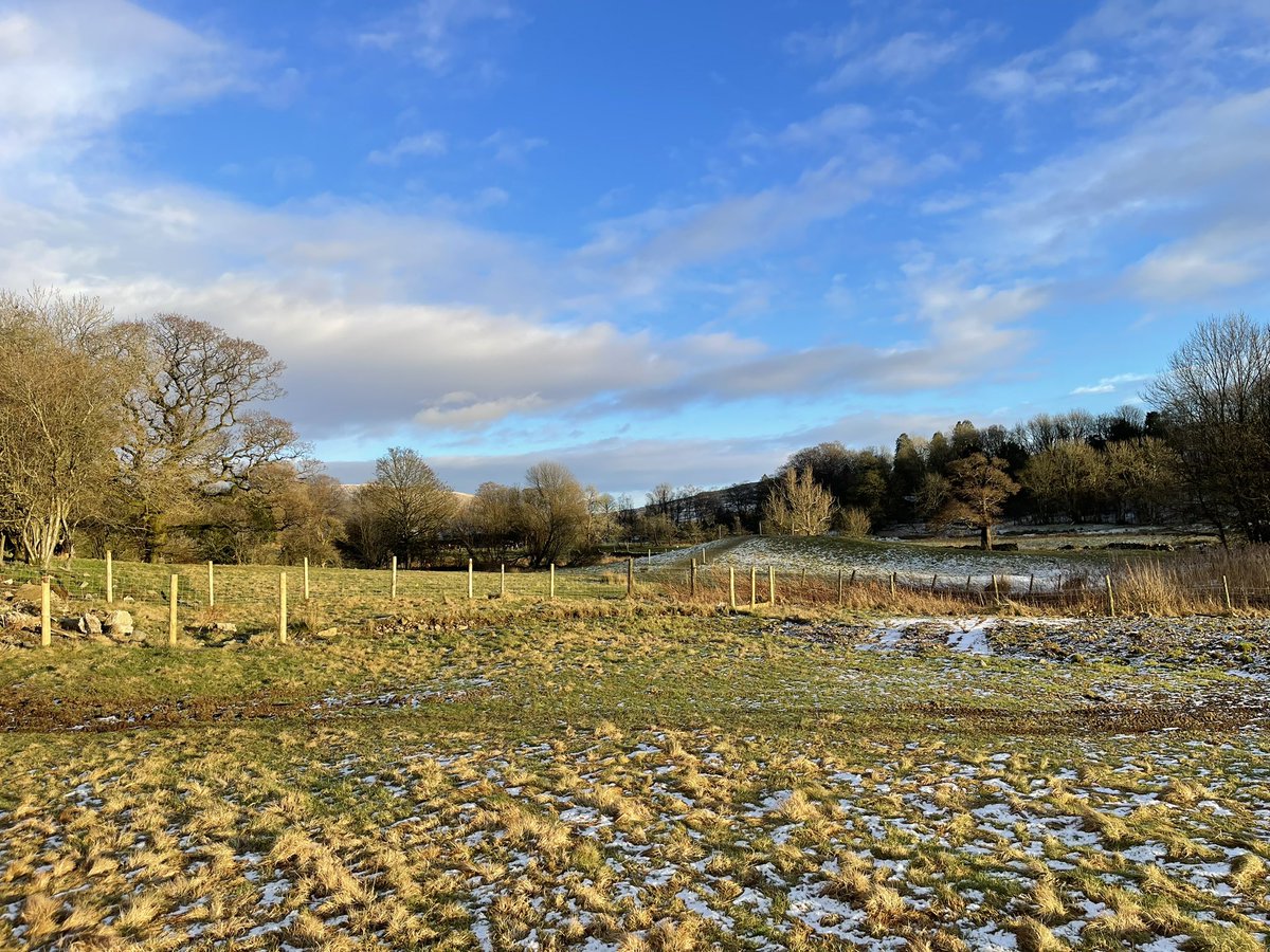 Headmaster | Sedbergh School tweet media