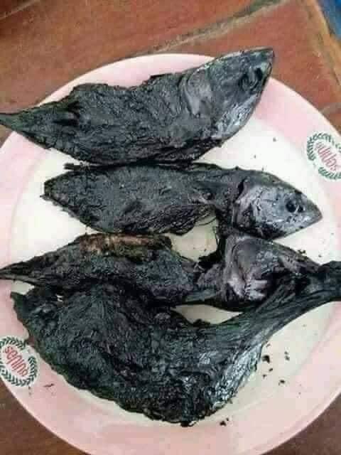 AdvoBarryRoux's tweet photo. Can someone balance me here real quickly https://t.co/GzdBJWamfm