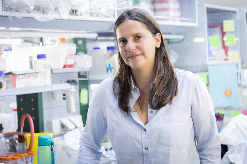 Malattie mitocondriali: una sola strategia per tutte? È l’obiettivo a cui punta la ricercatrice del <a href="/Tigem_Telethon/">Tigem Telethon</a> <a href="/AlessiaIndrieri/">Indrieri_Lab</a>, arrivata per caso a studiare queste malattie e ora super determinata a far avanzare la ricerca di una cura.
telethon.it/storie-e-news/…