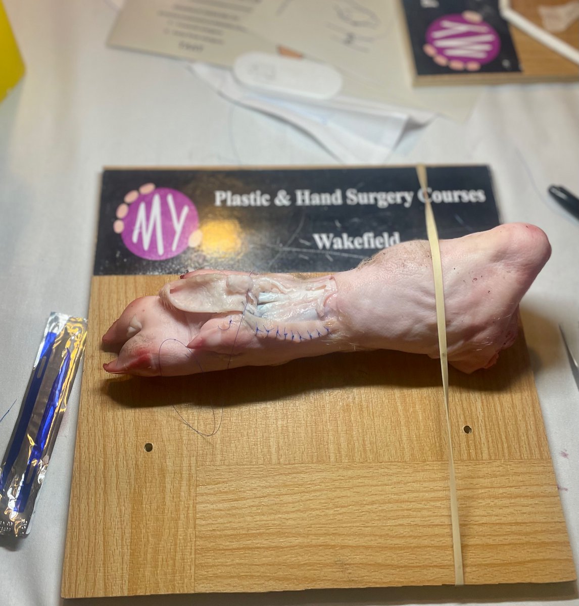 _AnnaRose_'s tweet photo. Amazing first day at the Mid-Yorkshire Plastic &amp; Hand Surgery course 🤚🏼🦴 

@BaronLeSanj https://t.co/jsK4reyUts