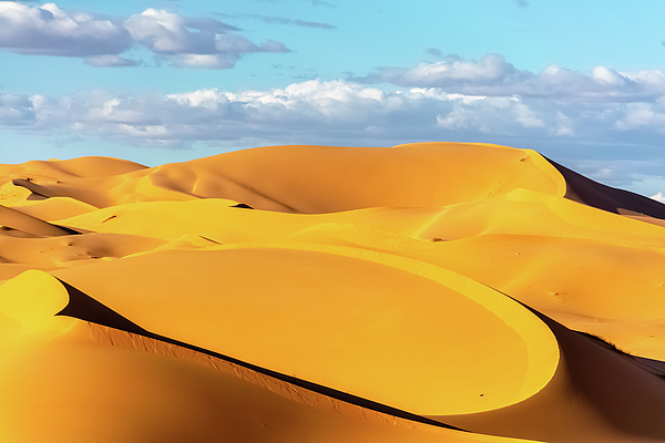 photoslim's tweet photo. New artwork for sale! - "Curvy sand dunes" - https://t.co/Tu4PvsoGDr @fineartamerica https://t.co/wR107EM7dD