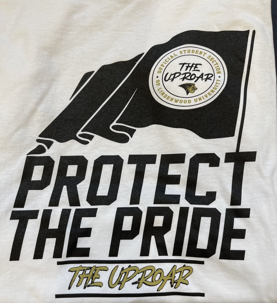 ❄️ WEATHER REPORT ❄️

Whiteout conditions are expected Thursday night at Hyland Arena and surrounding areas 👀

Fans at the @lindenwoodwbb &amp; @lumensbball games should prepare to arrive early, stay late, make noise, and ⚪️WEAR WHITE⚪️‼️🦁🏀

#ManeEvent | #BeatUSI