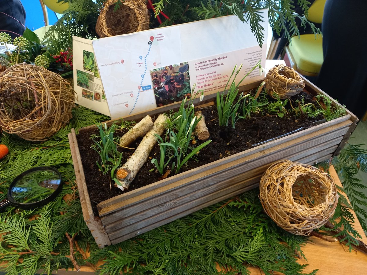 Lovely chat with people from Chase Community Garden at the Enfield Mental Health Winter Event @BEHMHTNHS. The garden is a great initiative for improving mental health and well-being. #enfieldmentalhealth #winterevent #NHS #chasefarmhospital #friendsinthegarden.