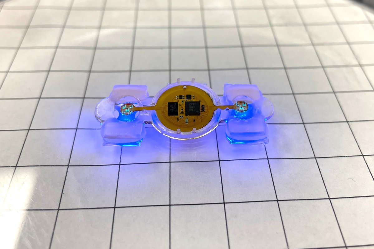 AZoRobotics's tweet image. Miniature Biological Robots Learn a New Trick azorobotics.com/news.aspx?News… #BiologicalRobots #Robotics #Robots #RoboticsNews