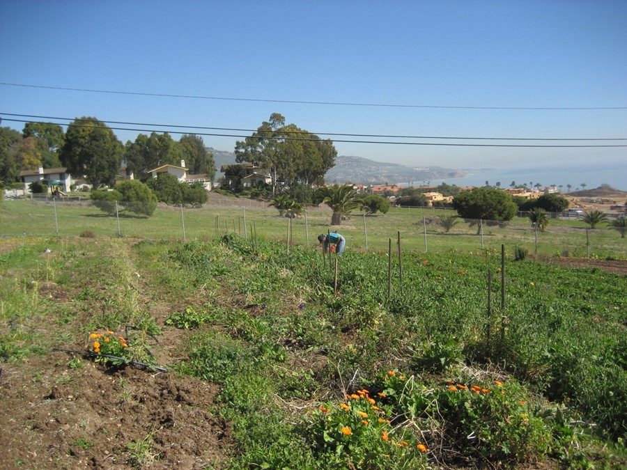 HRGpreservation's tweet photo. Exciting update on the James Hatano Farm California Register of Historical Resources nomination, prepared by HRG! Tomorrow the State Historical Resources Commission will review. See link below for details:

https://t.co/gm1EQOalvq

#thisplacematters #heritageconservation https://t.co/15BpsLaYtl
