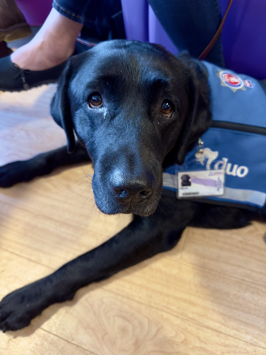 CCCUPsychology's tweet photo. UCAS deadline is approaching! This is a taste of what youβll get if you study Psychology with us. π
#CCCUPsychology #CCCUProud #HelloChristChurch #Psychology #psychologist #Canterbury #Socialscience #mentalhealth #studypsychology #studentlife #unilife #UCAS #deadline https://t.co/urroxUxSiL