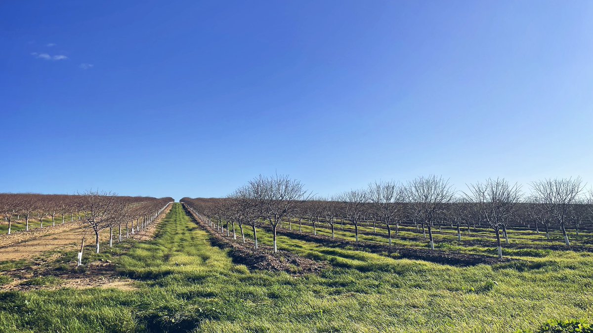 👀 Está el campo para salir y disfrutar.