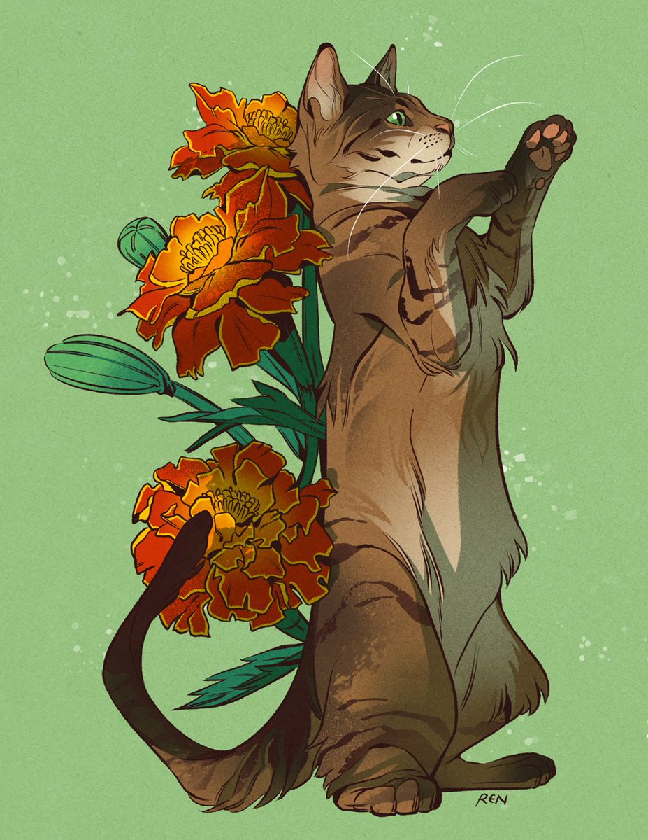 no humans flower cat animal focus green background signature simple background  illustration images