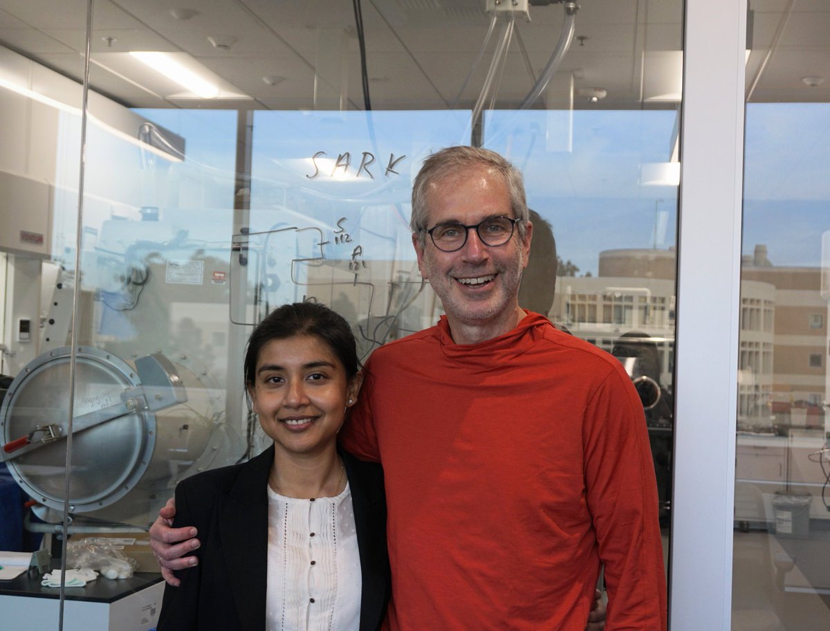 Borovik Lab tweet media