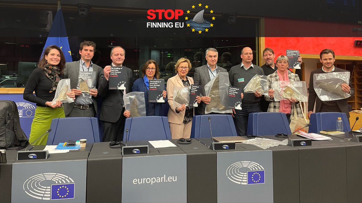 Today we were invited to the Intergroup for Animals in Strassbourg to report about the need for a #FinBanNow in Europe. Special thanks to <a href="/Act4AnimalsEU/">Eurogroup For Animals</a> &amp; @MetzTilly for having us!
Looking forward to shaping the future of #sharks and #oceans together! 🦈🇪🇺 #StopFinningEU