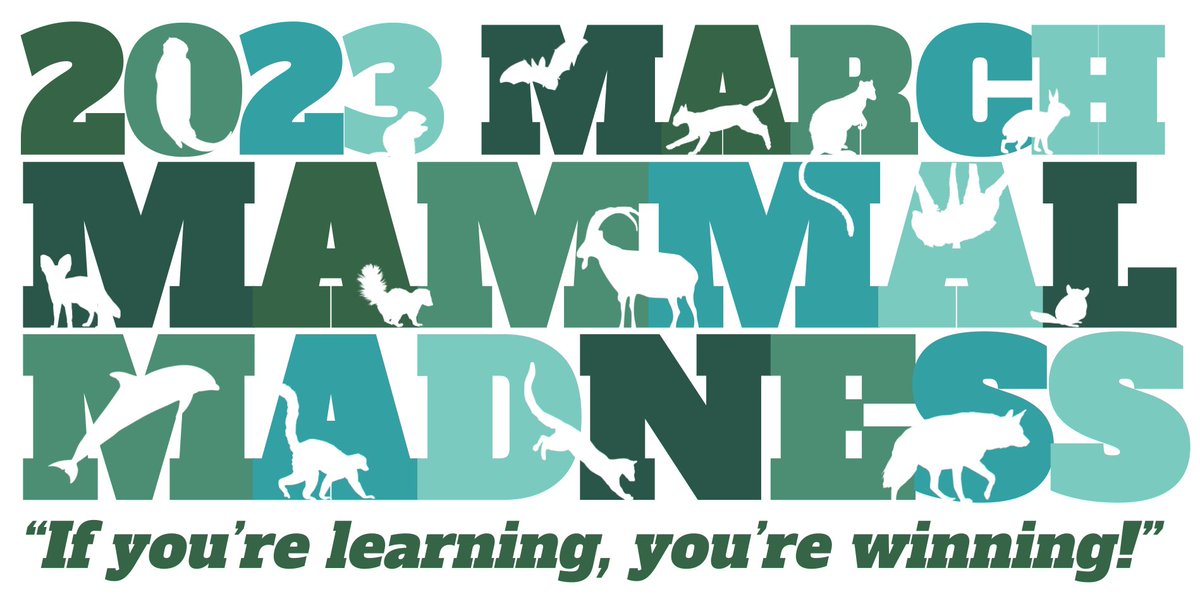 MMMletsgo's tweet photo. Thank you everyone for your patience as we work on ALL the things! In the meantime, here's a sneak peek at the 2023 logo #2023MMM 
&amp; Big thanks to @PhyloPic  https://t.co/Kdr50AHgYL and the artists who generously contribute silhouettes to the public domain! https://t.co/Oyn3g2VJWX