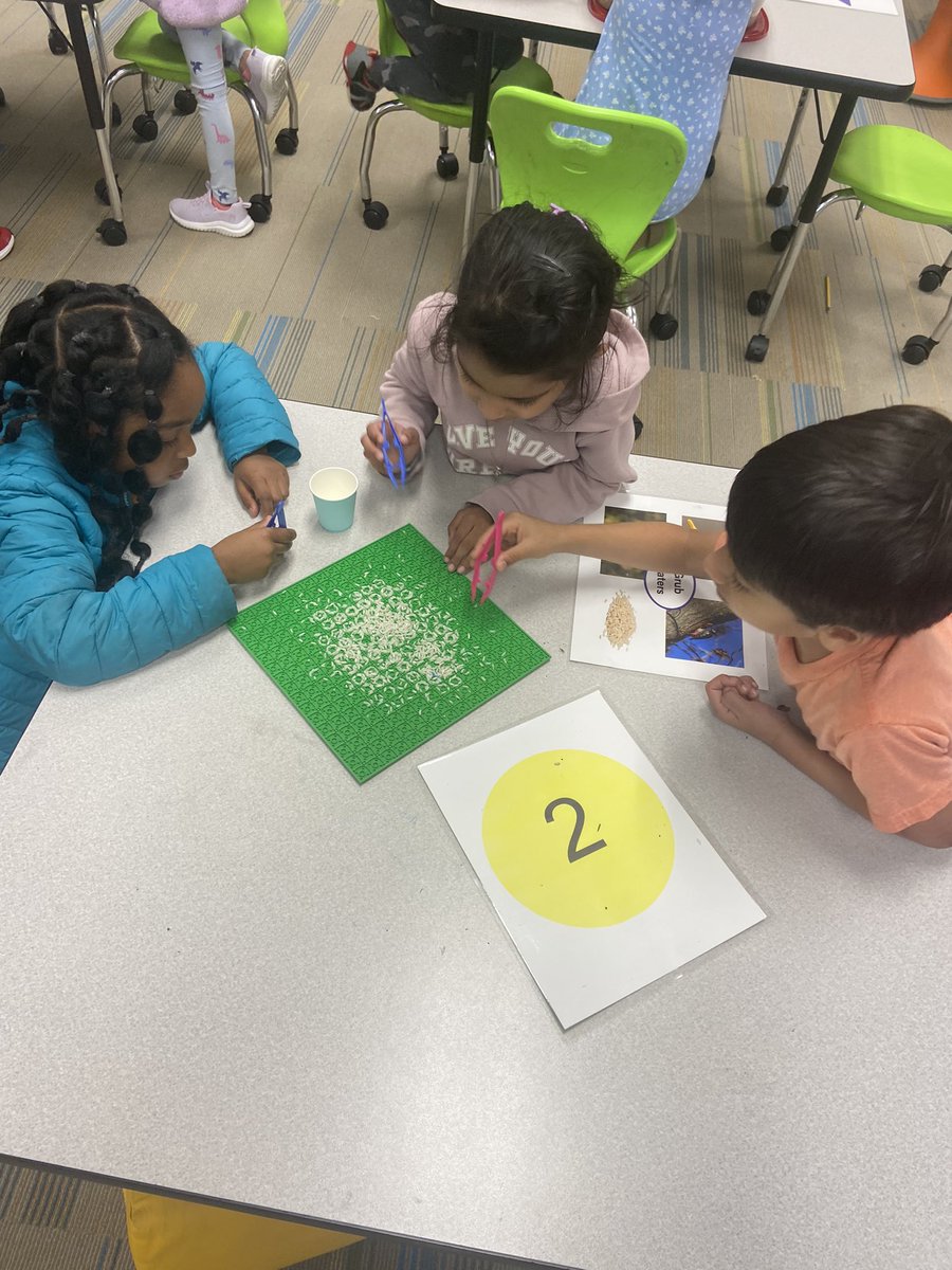 Lauren Foreman tweet media