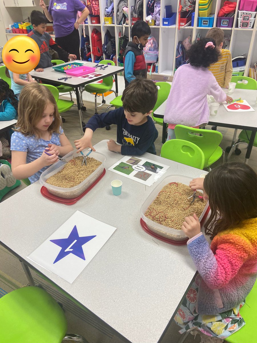 Lauren Foreman tweet media