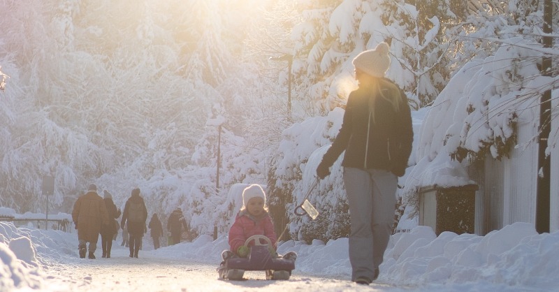 WithOtter's tweet photo. Is your family feeling the January doldrums? Whether it's the weather, the lack of sunlight, or those post-holiday blues, we know this month can feel like a slog. Here are some fun ideas for family activities to brighten things up!