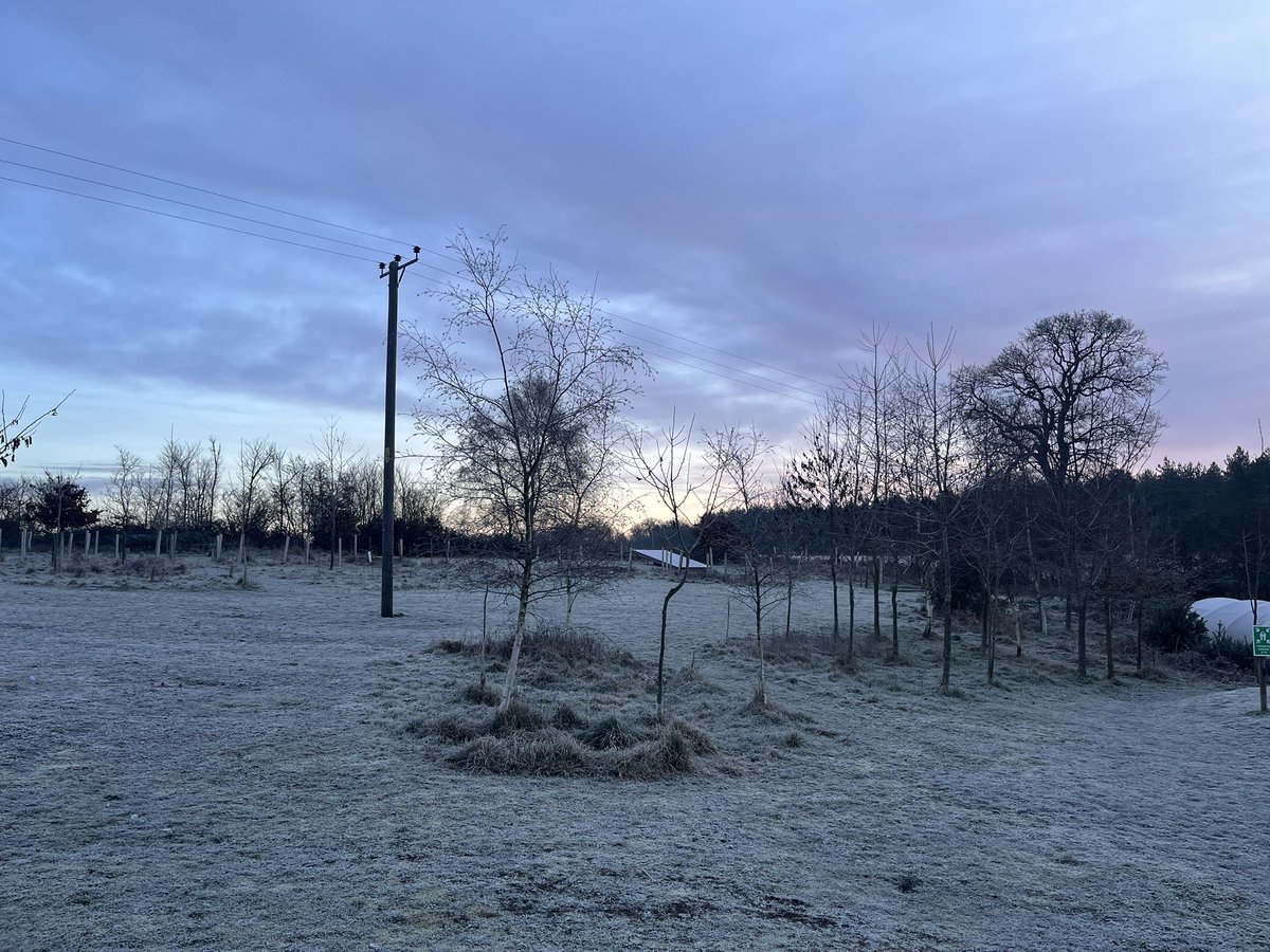 MrsTetchner's tweet photo. @twinklresources A frosty morning on residential! https://t.co/o5ql9hn8EB