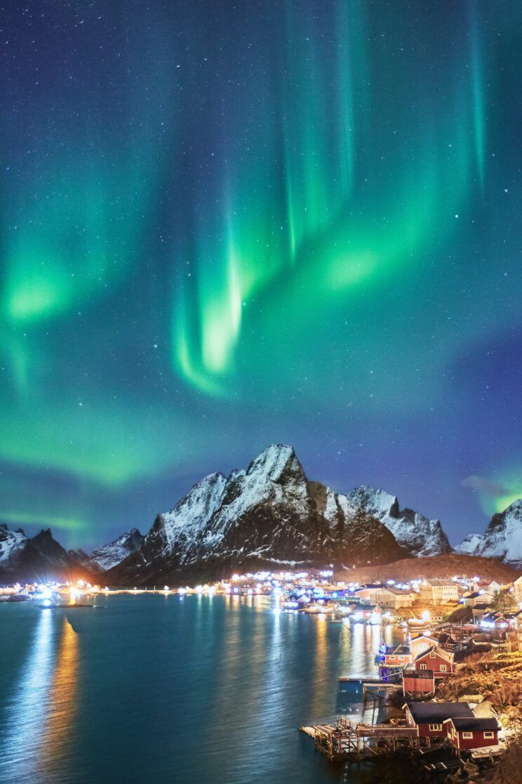 NordicImages's tweet photo. @clownworld https://t.co/gQLCiz1Bh5