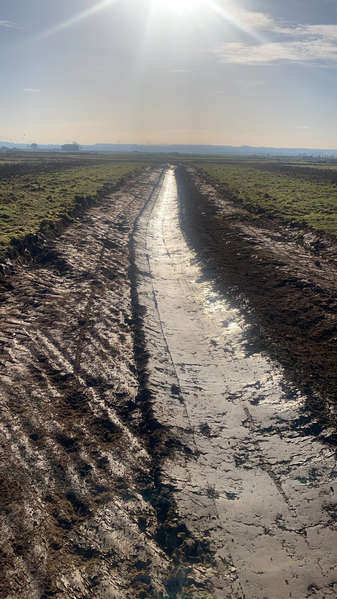 CharlesKruse7's tweet image. The Rotary ditcher has been out in Kent for the RSPB as part of a wetland creation project installing scrapes and foot drains.  #wetland #wetlandcreation #footdrains #habitatcreation #rspb #rewilding #rotaryditcher #WN2 #wildfowl