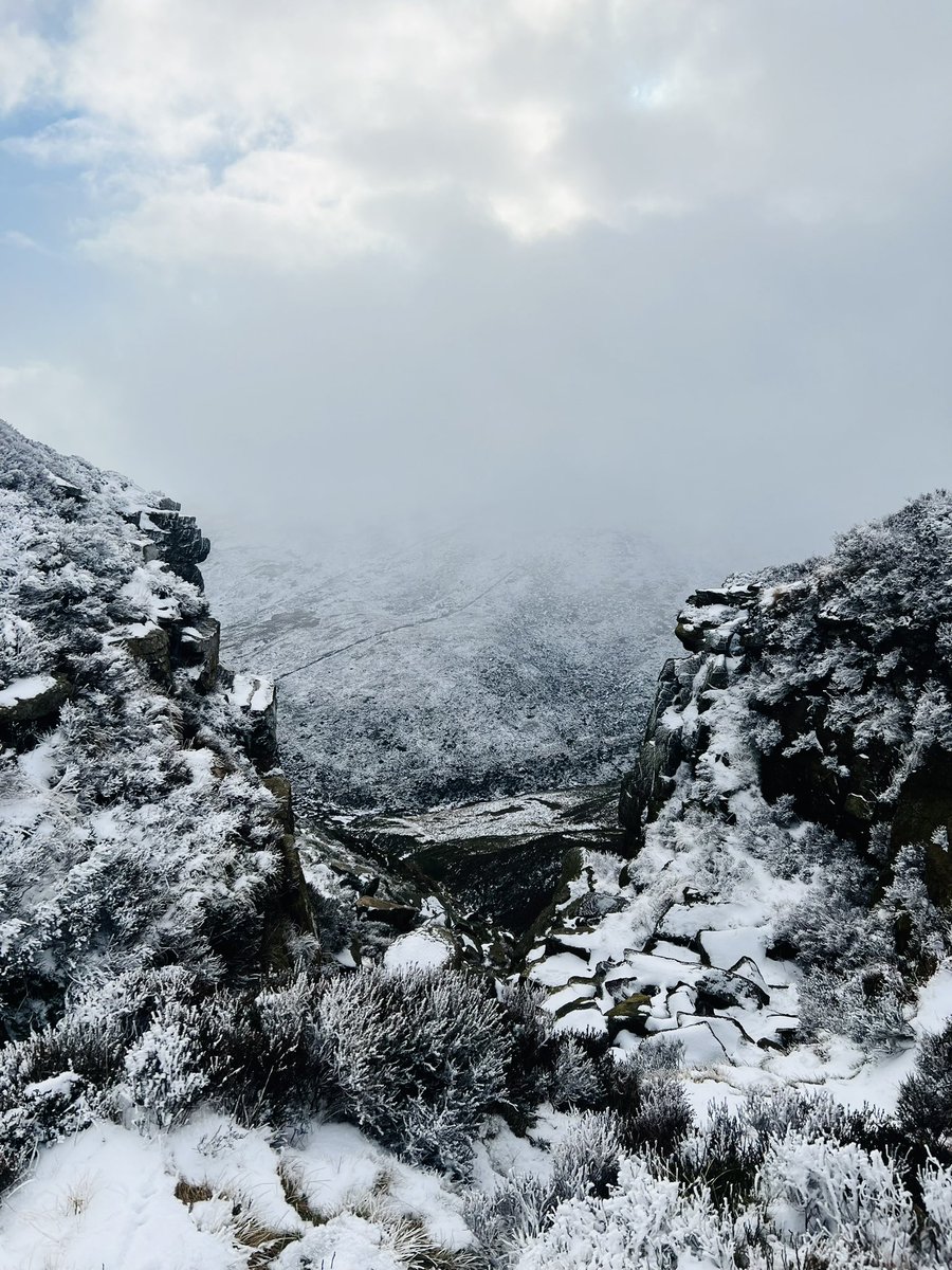 Incidentally Bentley (@incidentallyb) on Twitter photo 