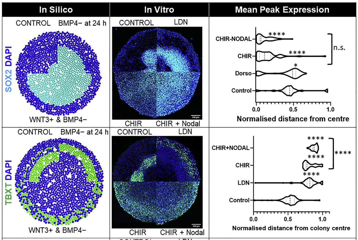 Cahan Lab | at JHMI tweet media