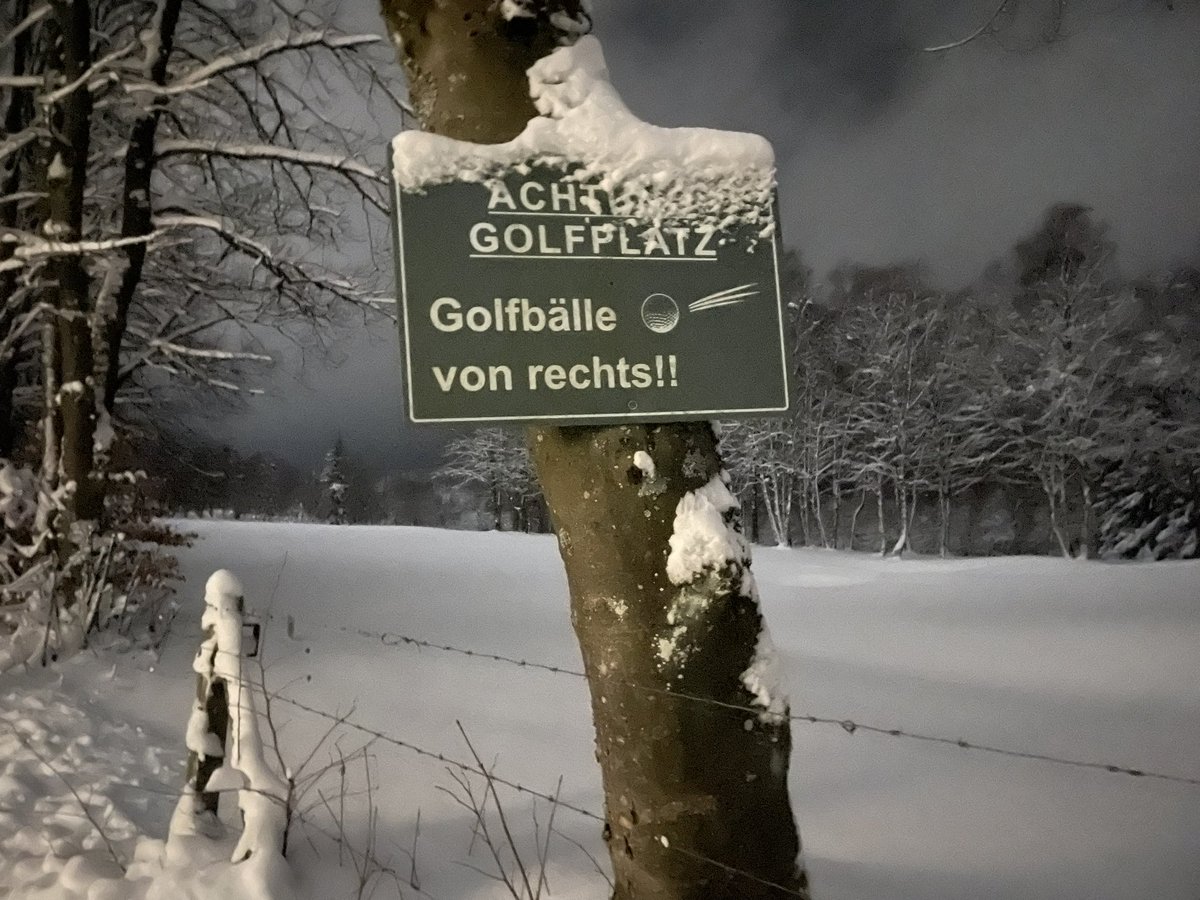 Frederique de Jong tweet media